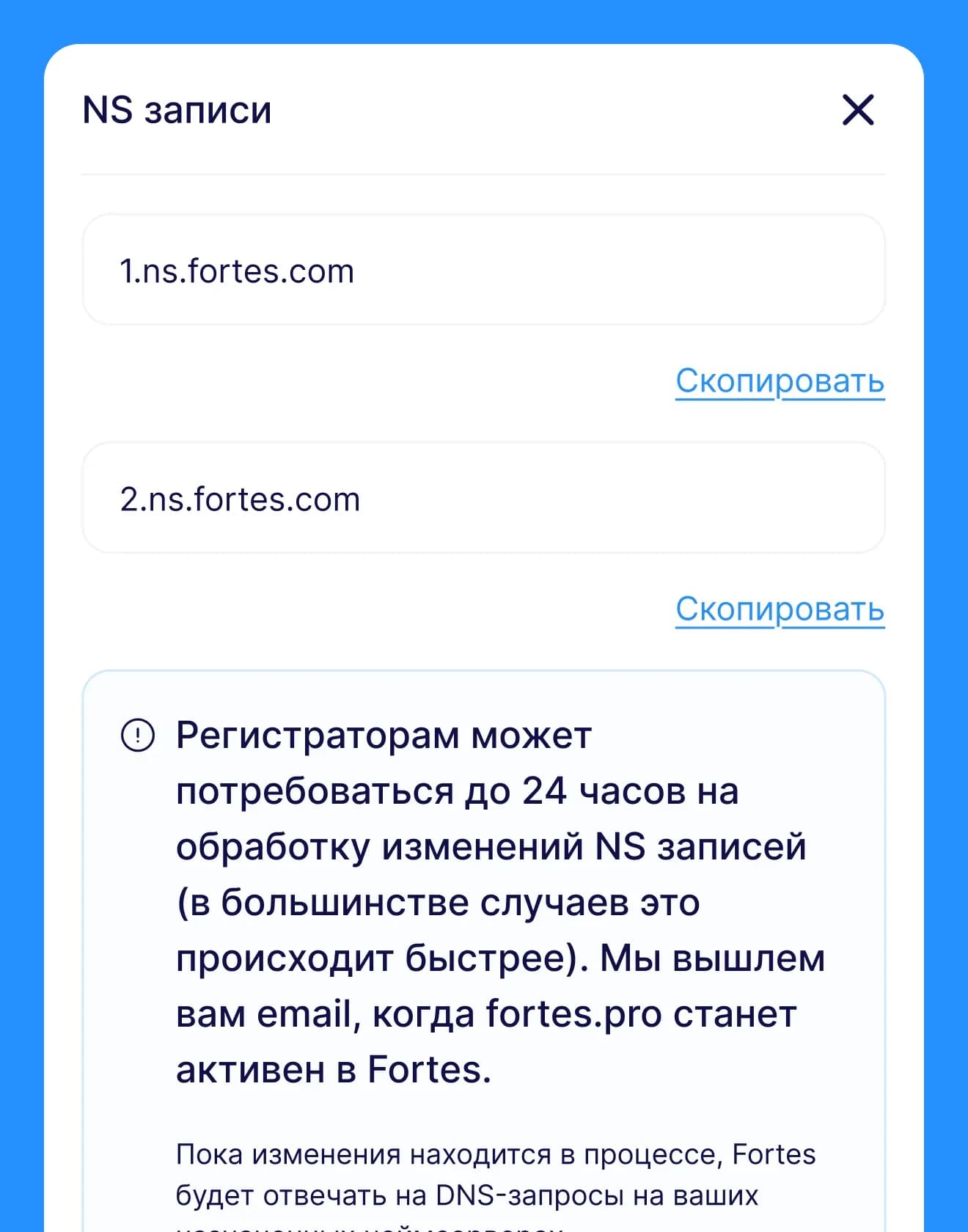 Мобильный экран с NS-записями