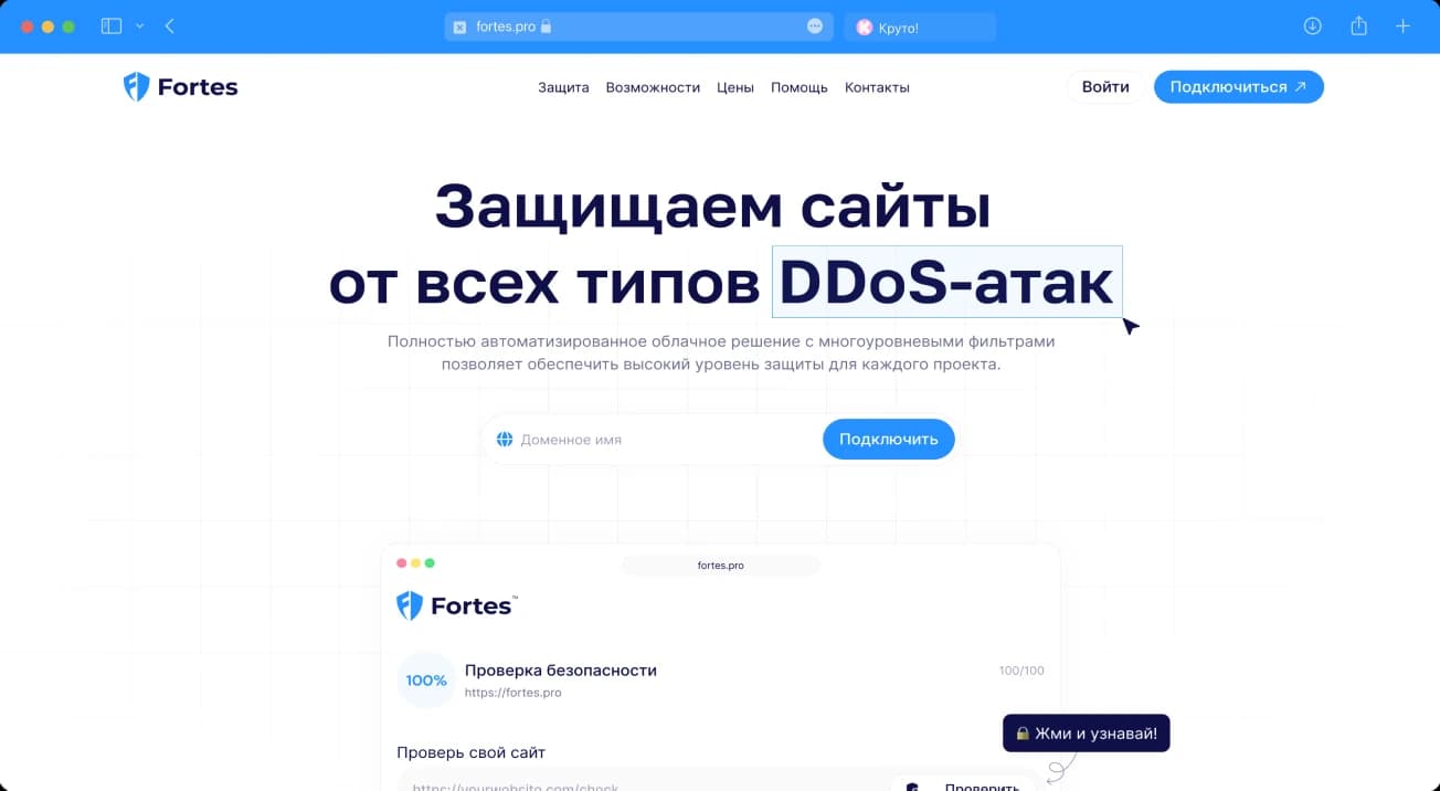 Интерфейсы сервиса Fortes: сайт защиты от DDoS-атак, личный кабинет, биллинг и статистика