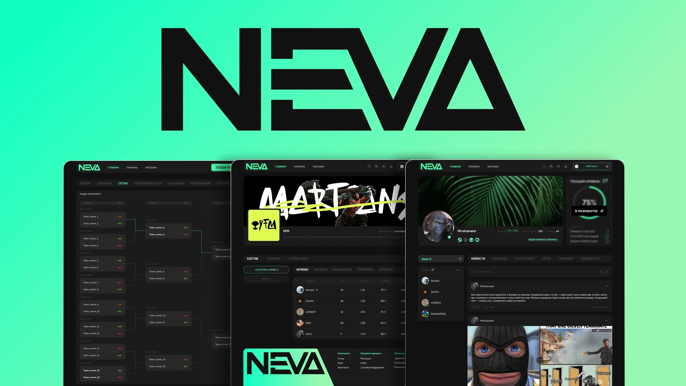 Карточка кейса Neva